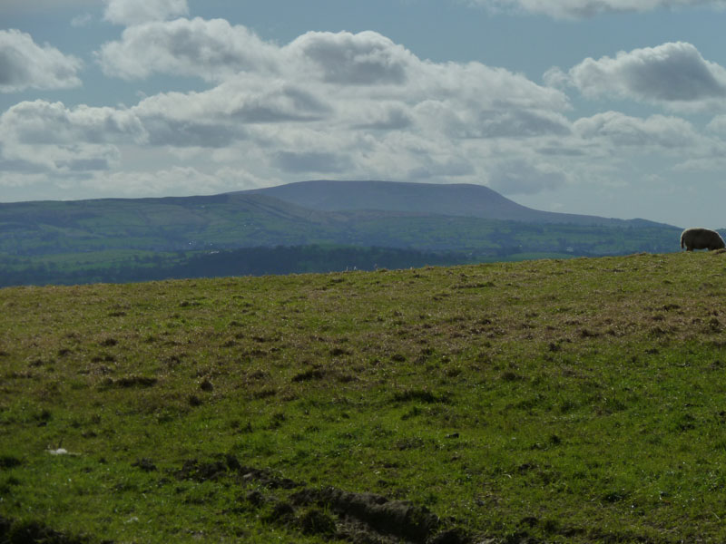 Pendle Hill